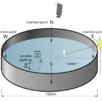 The Methodology Maze inline